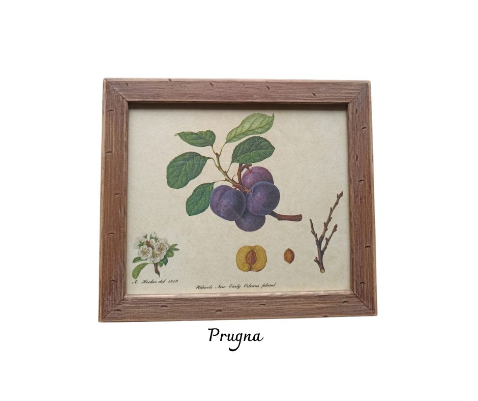Cornici frutta