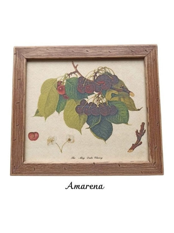 Cornici frutta